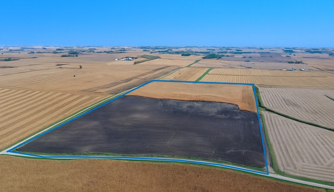Listing Photo: 80.39 acres in Faribault County, MN